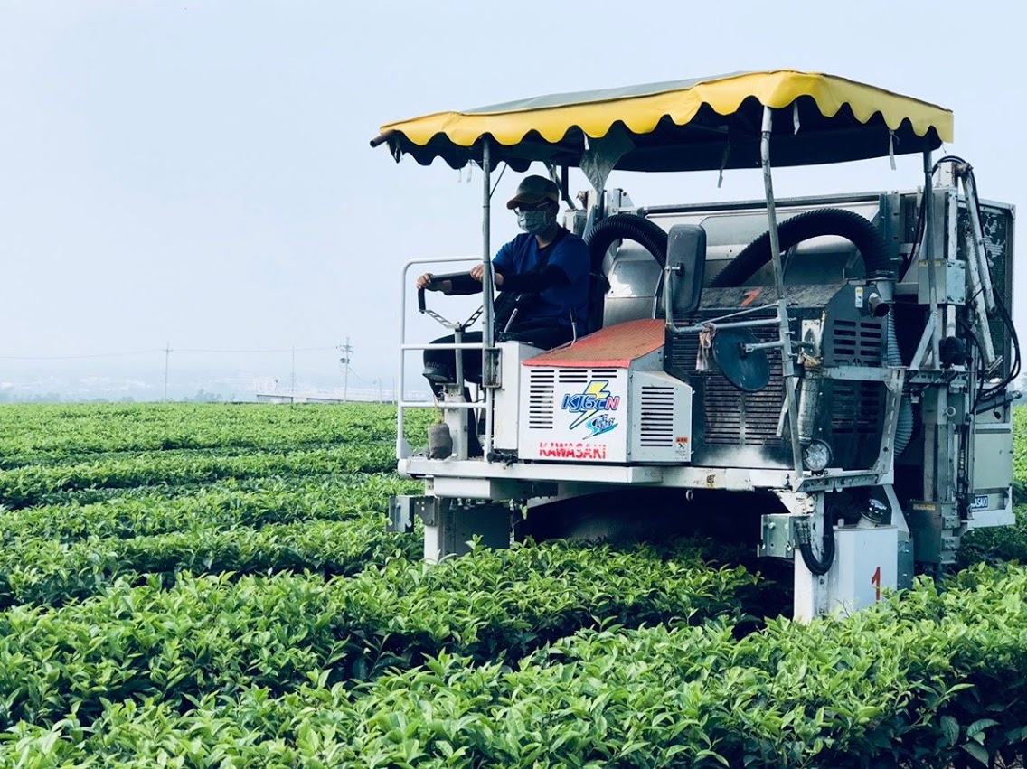 茶改場希望透過機械化、智慧化方式管理茶園，能提高品質與產量。