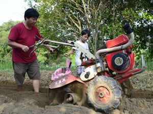 鬆土是種植前的重要作業，琦琦拿著竹筷幫爸爸敲下卡住的土