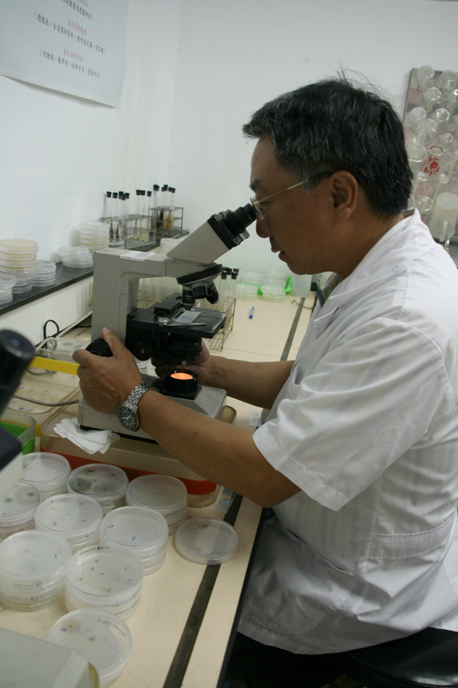 作物專家利用顯微鏡找出病，再對症治療。
