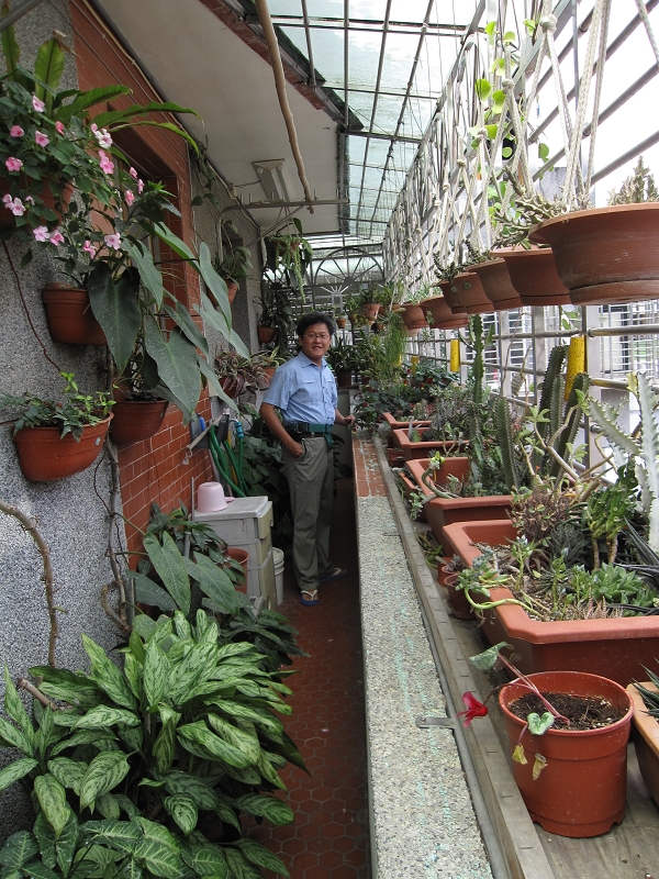 陳坤燦先生的陽台花園