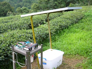 茶園夜盜蟲自動監測系統即是利用無線感知網路（WSN）技術（照片來源：農業科技大展）