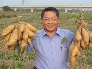 新化區農會食用甘藷產銷班邱木城班長　圖片來源：瓜瓜園提供