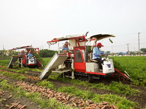 透過農業產銷班擴大經營規模後，班員們採取機械化栽培可降低生產成本　圖片來源：活力東勢提供