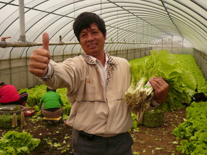 企業化經營農業，青菜也能變黃金－李傳添八德市蔬菜產銷班第三班班長