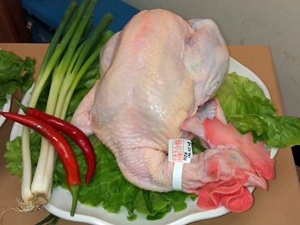 購買雞肉時以視覺、觸覺、嗅覺確認雞肉狀態