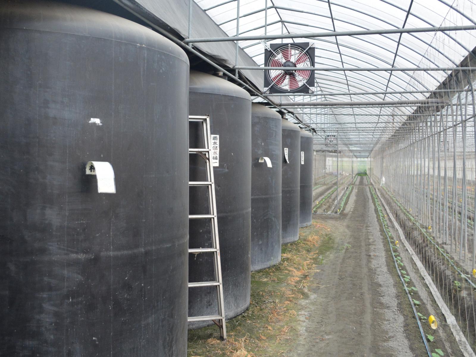 農場採用的滴灌技術設備