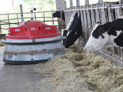 推料機器人裝有畜試所天眼系統，能數位錄影牛隻吃料情境。