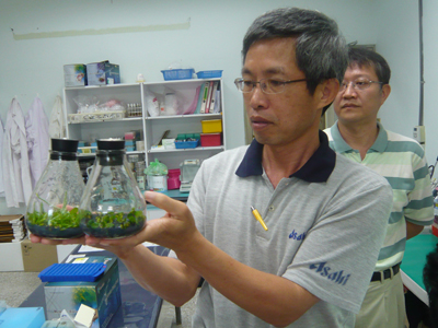孫永偉拿著裝有蘭花植株在做病毒RNA萃取的試瓶