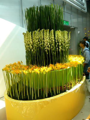 辦花展是讓世界認識台灣花卉最直接的方法