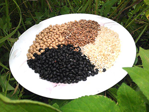 黃豆，黑豆，低筋小麥，稻米(黃仕聰提供)