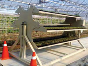 農委會協助農民採用自動化、機械化的省工栽培技術，例如輪轉吊盤式栽培架。