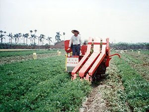 提高農業機械化程度，為農委會農業試驗研究所歷年來的工作項目之一，圖為落花生收穫機械