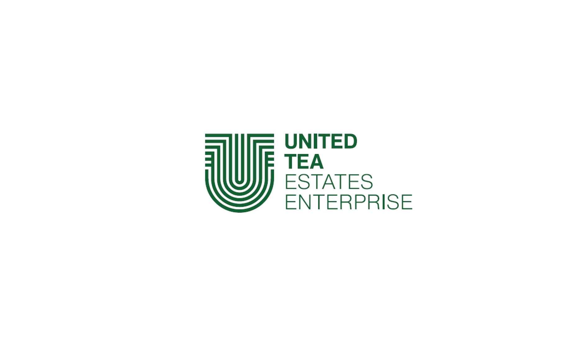 亮點茶莊共同品牌UTEE