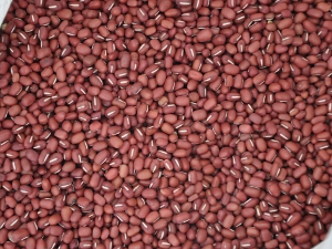 蘇建鈞生產的紅豆